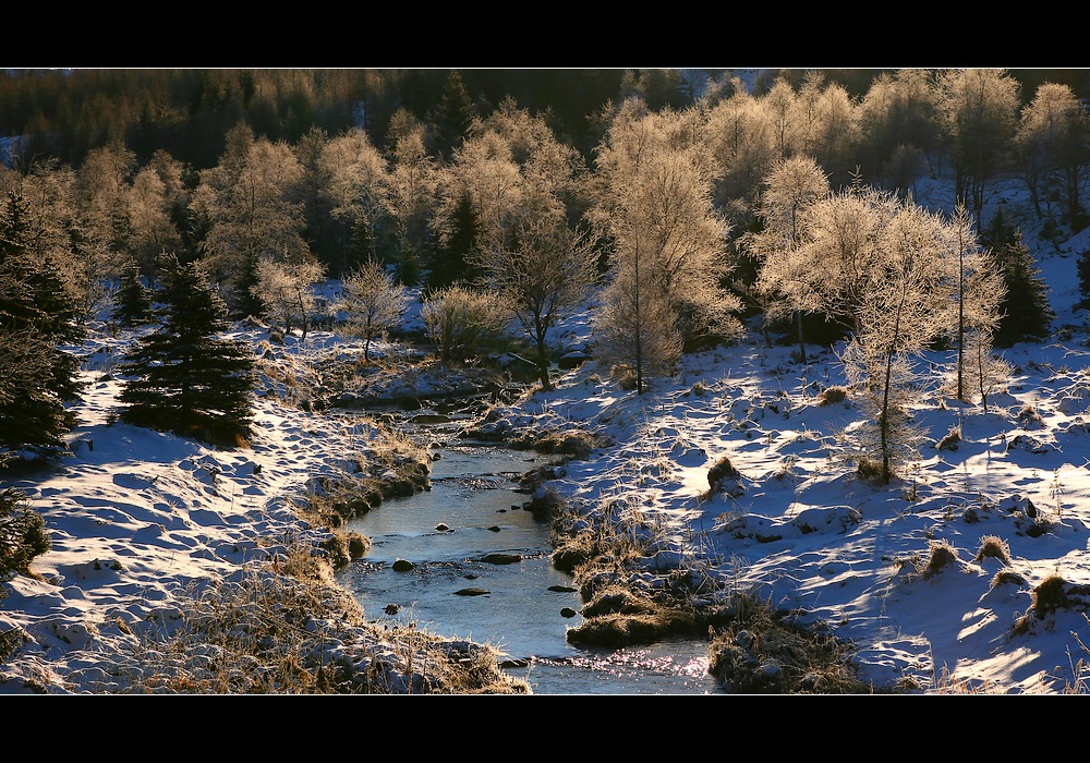 Bachlauf_im_Erzgebirge