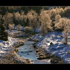 Bachlauf_im_Erzgebirge