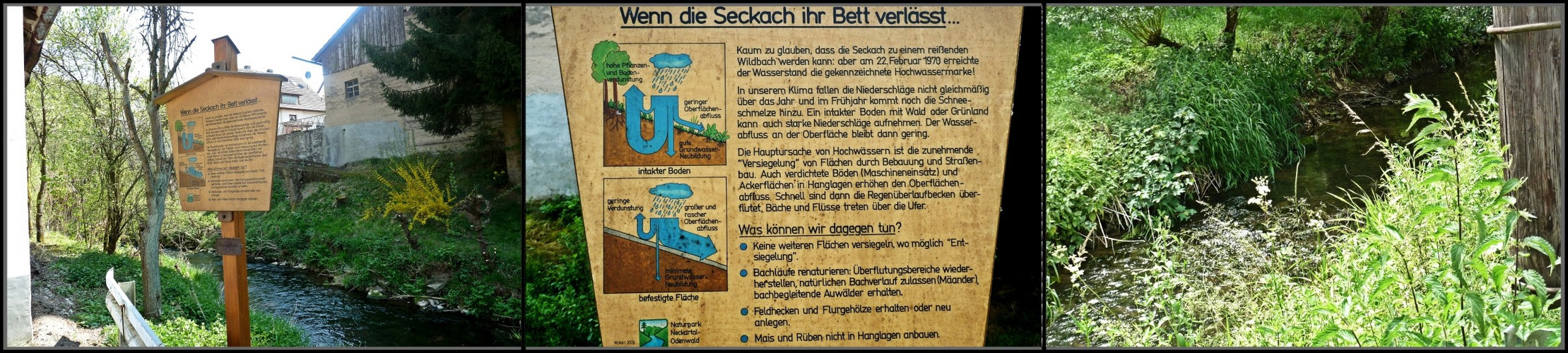 Bachlehrpfad-18