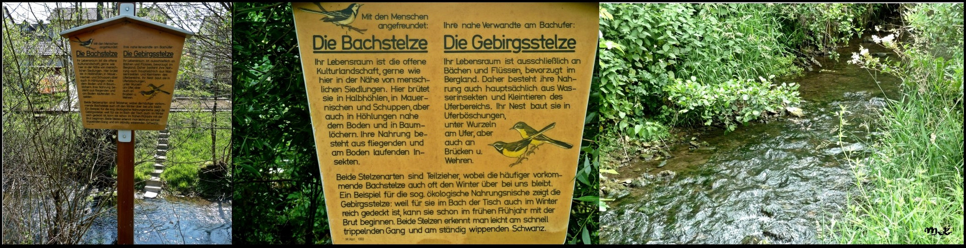 Bachlehrpfad-27