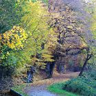 Bachpfädchen im Herbst