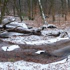 Bachschleife im Winter