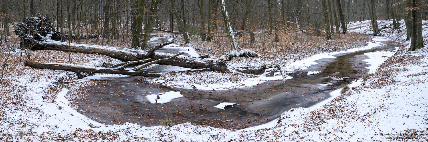 Bachschleife im Winter