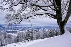 Bachtel, Aussicht auf den Untersee