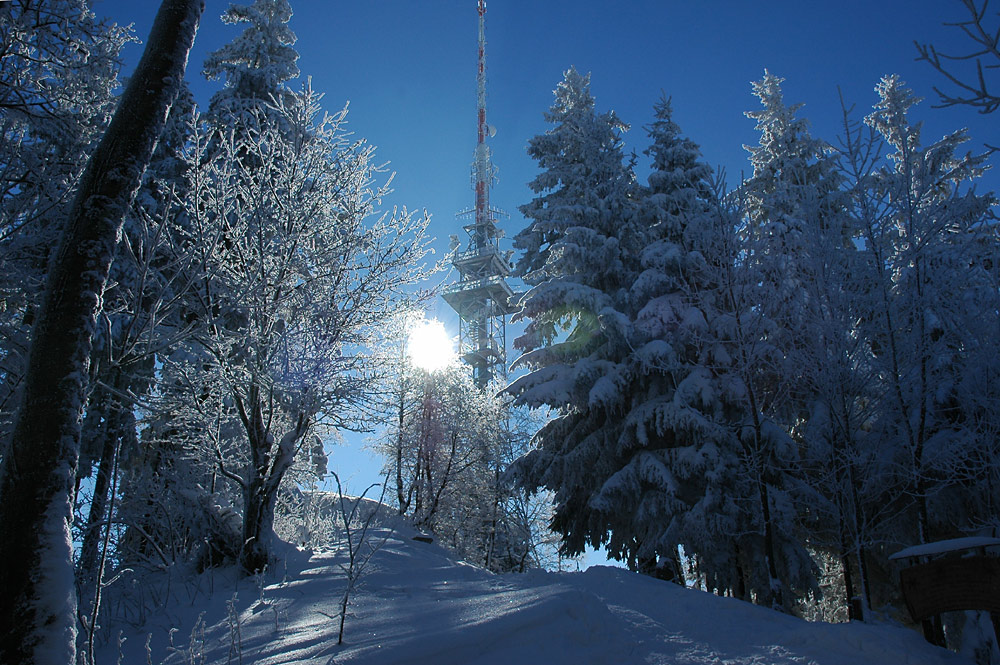 Bachtel Kulm, 1115 m.ü.M.