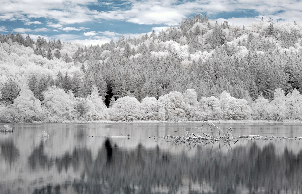 Bachtelsee