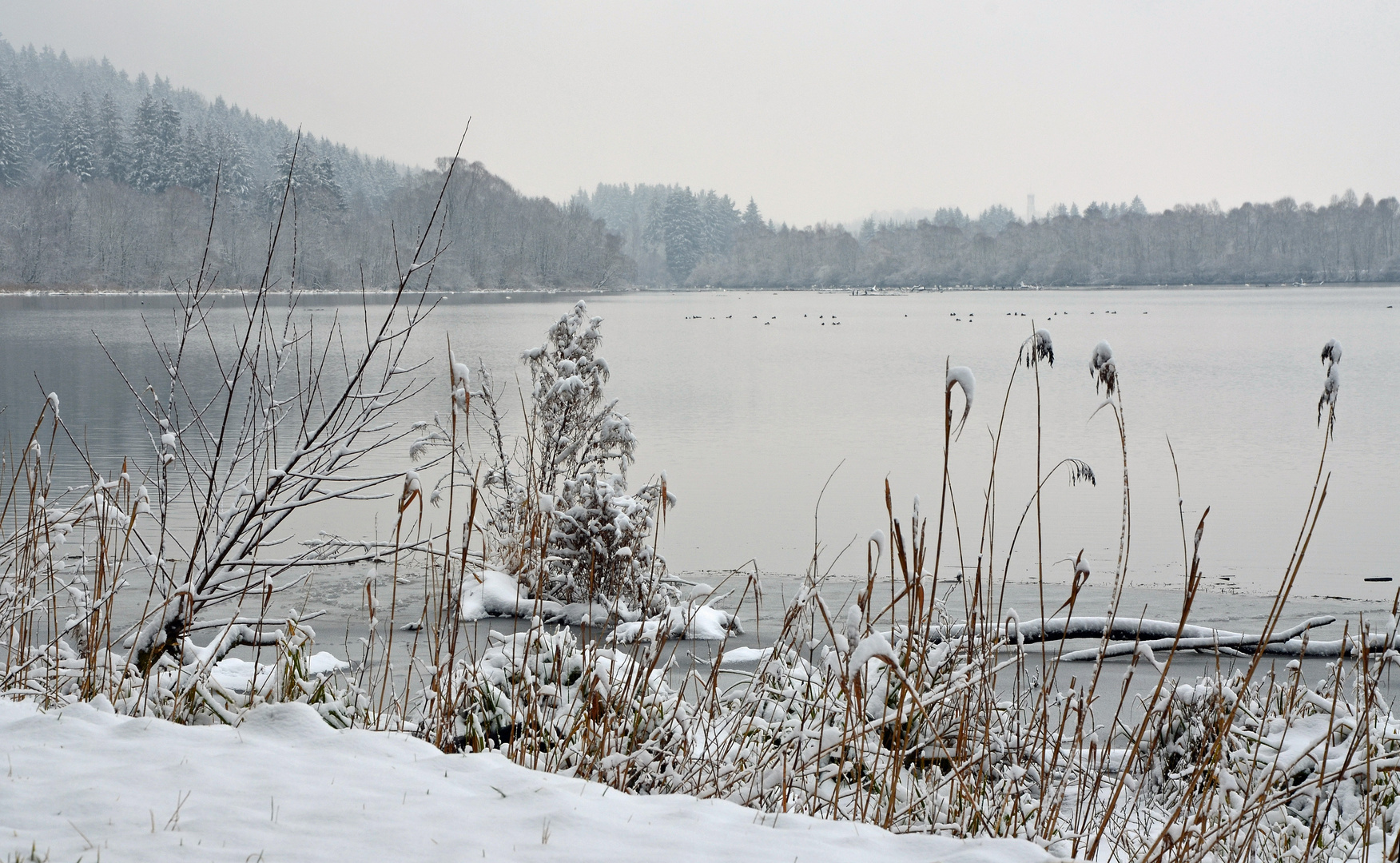 Bachtelsee II