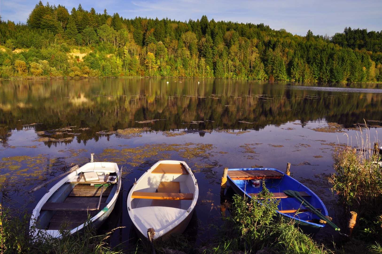 Bachtelsee im Herbst