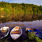 Bachtelsee im Herbst