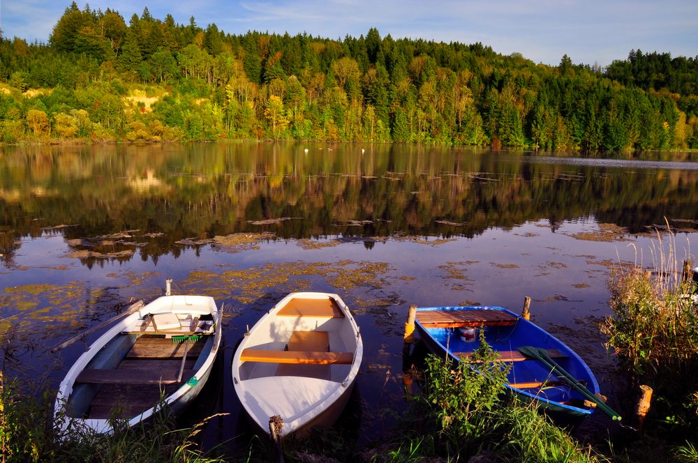 Bachtelsee im Herbst von vera-br 