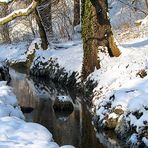 Bachverlauf