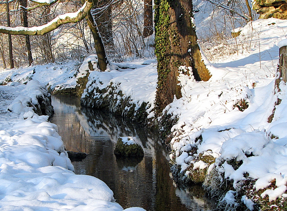 Bachverlauf