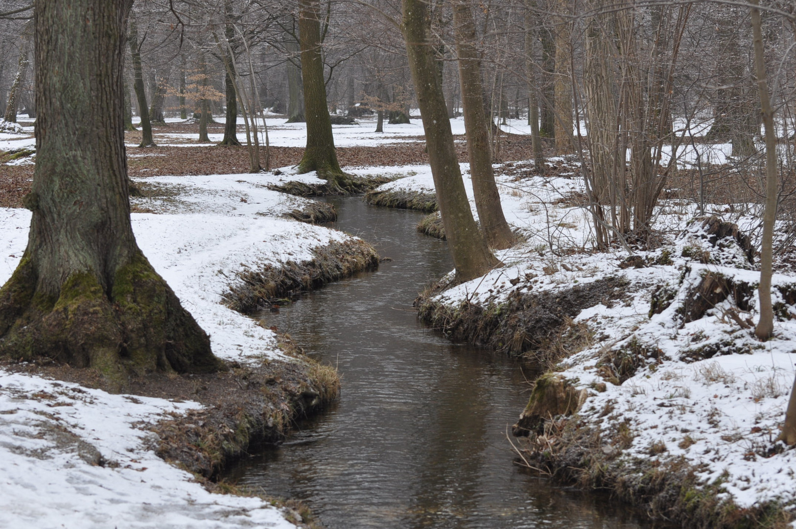 Bachverlauf