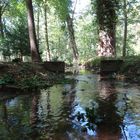 Bachverlauf im Schönbusch