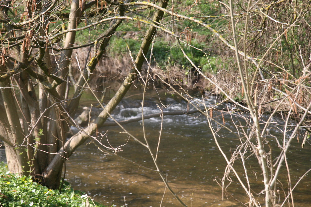 Bachverlauf in Waldenbuch