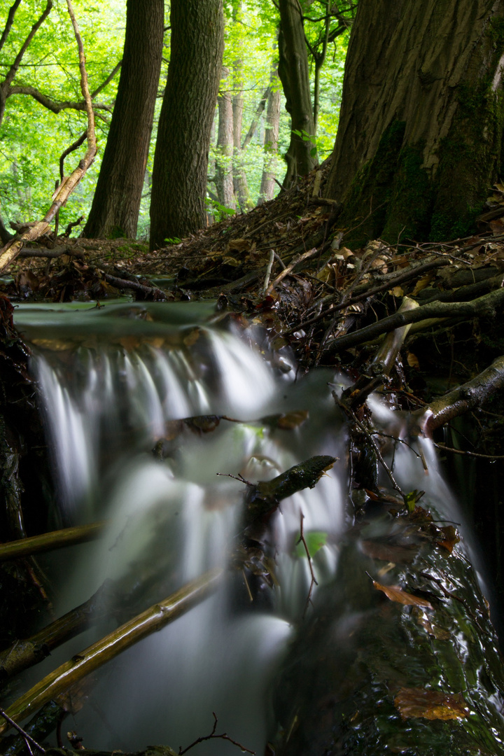 Bach"Wasserfall" im Wald