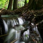 Bach"Wasserfall" im Wald