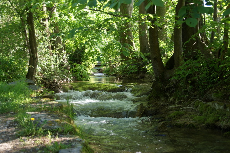 Bachzulauf der Erms