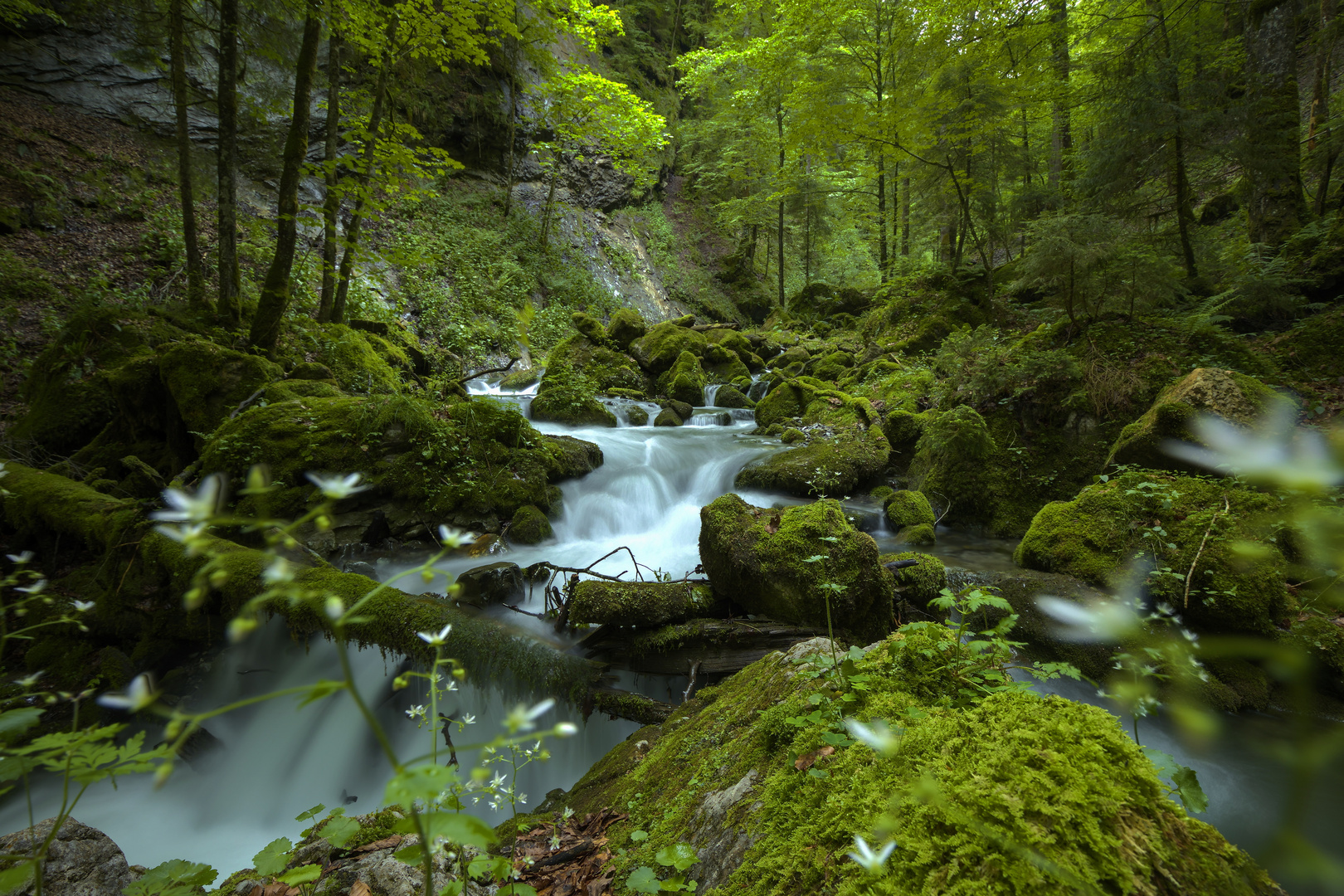 Bachzulauf Wägitalersee