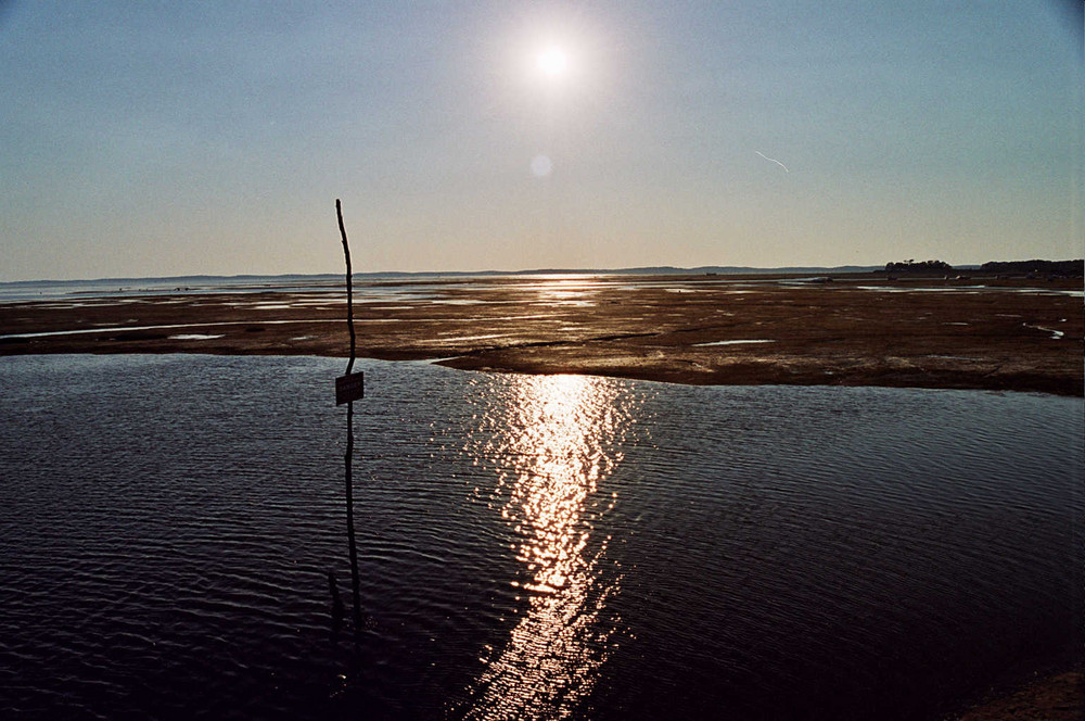 Bacino di Arcachon - 1