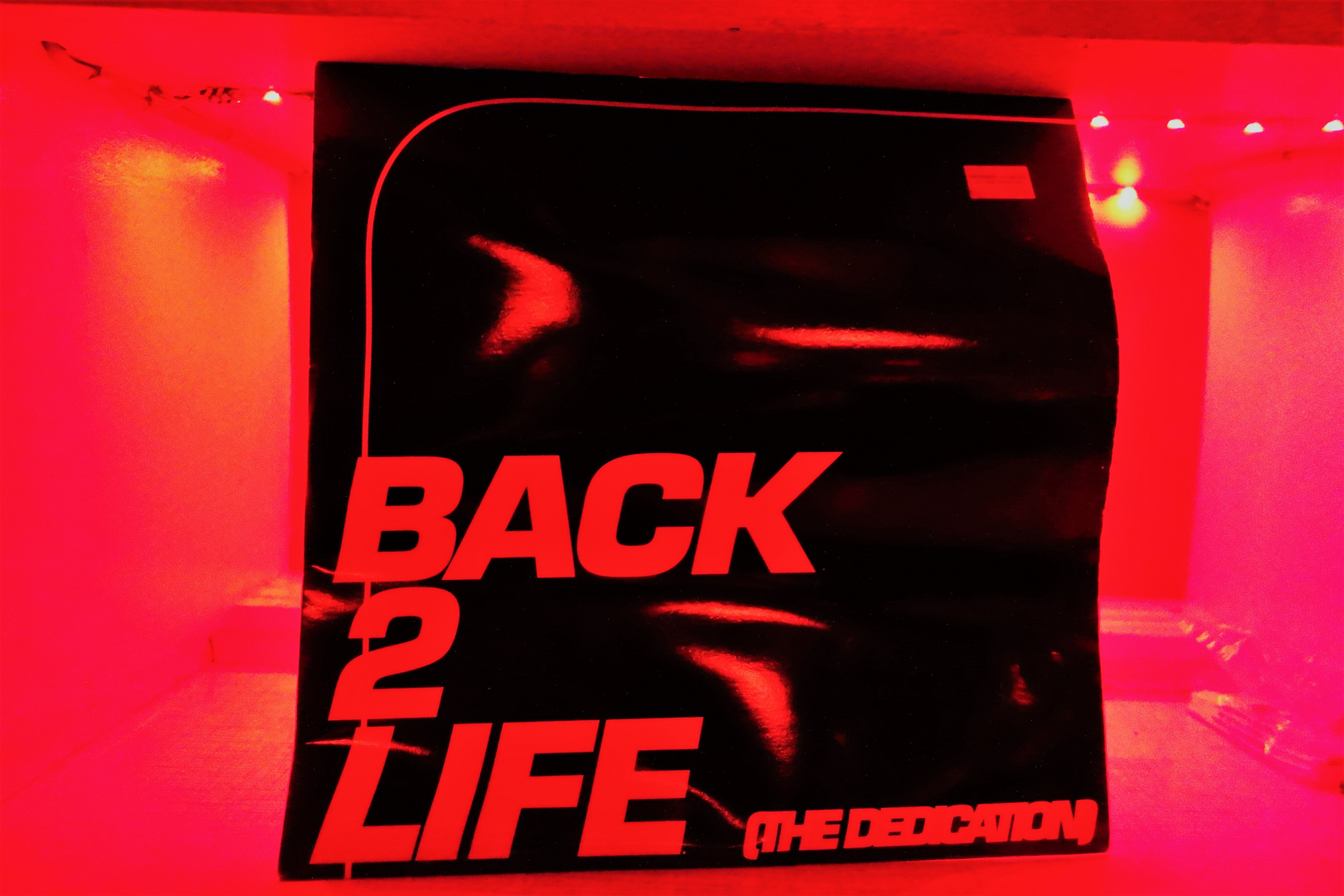 *Back 2 Life*