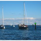 Back from a Sail - an Eastport Moment No. 5