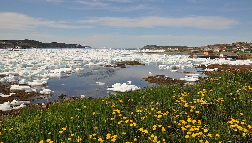 Back Harbour, Twillingate