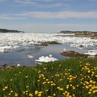 Back Harbour, Twillingate