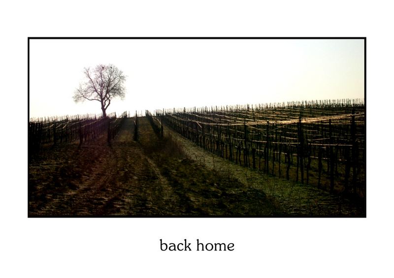 back home-impression 1