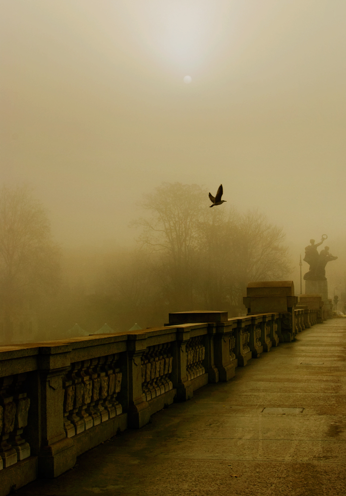 BACK LIGHT ON BRIDGE