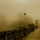 BACK LIGHT ON BRIDGE