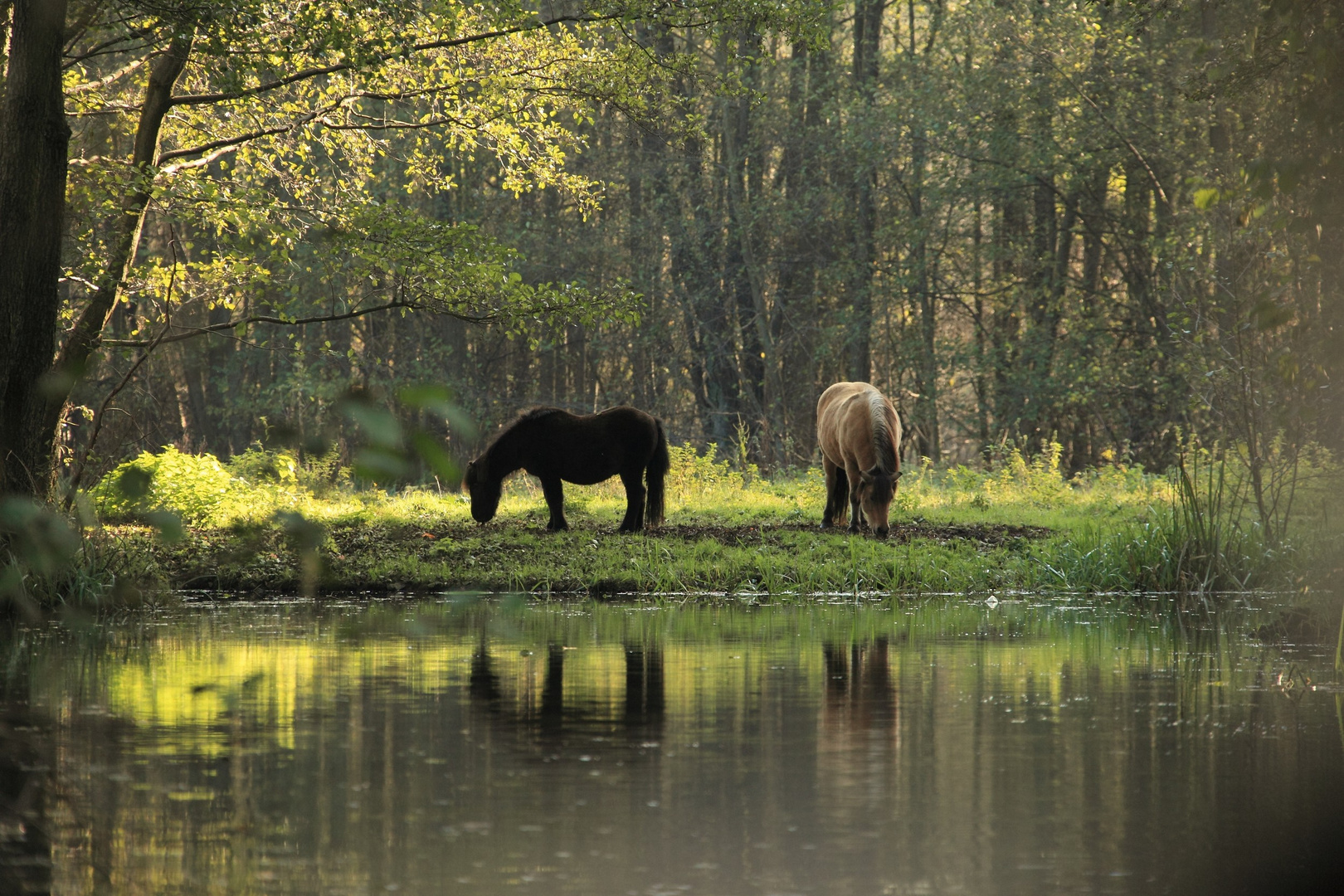 Back to Nature - Spreewald