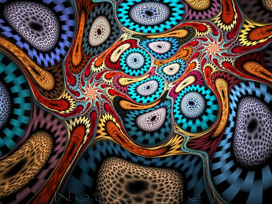 Back to the Root`s 2