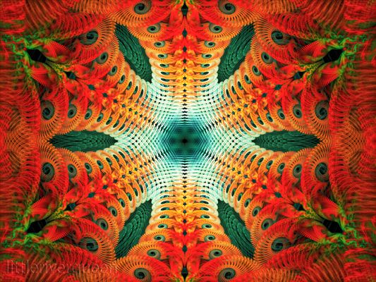 Back to the Roots......