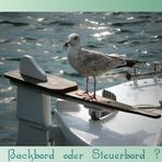 Backbord oder Steuerbord ?