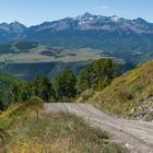 Backcountry Driving