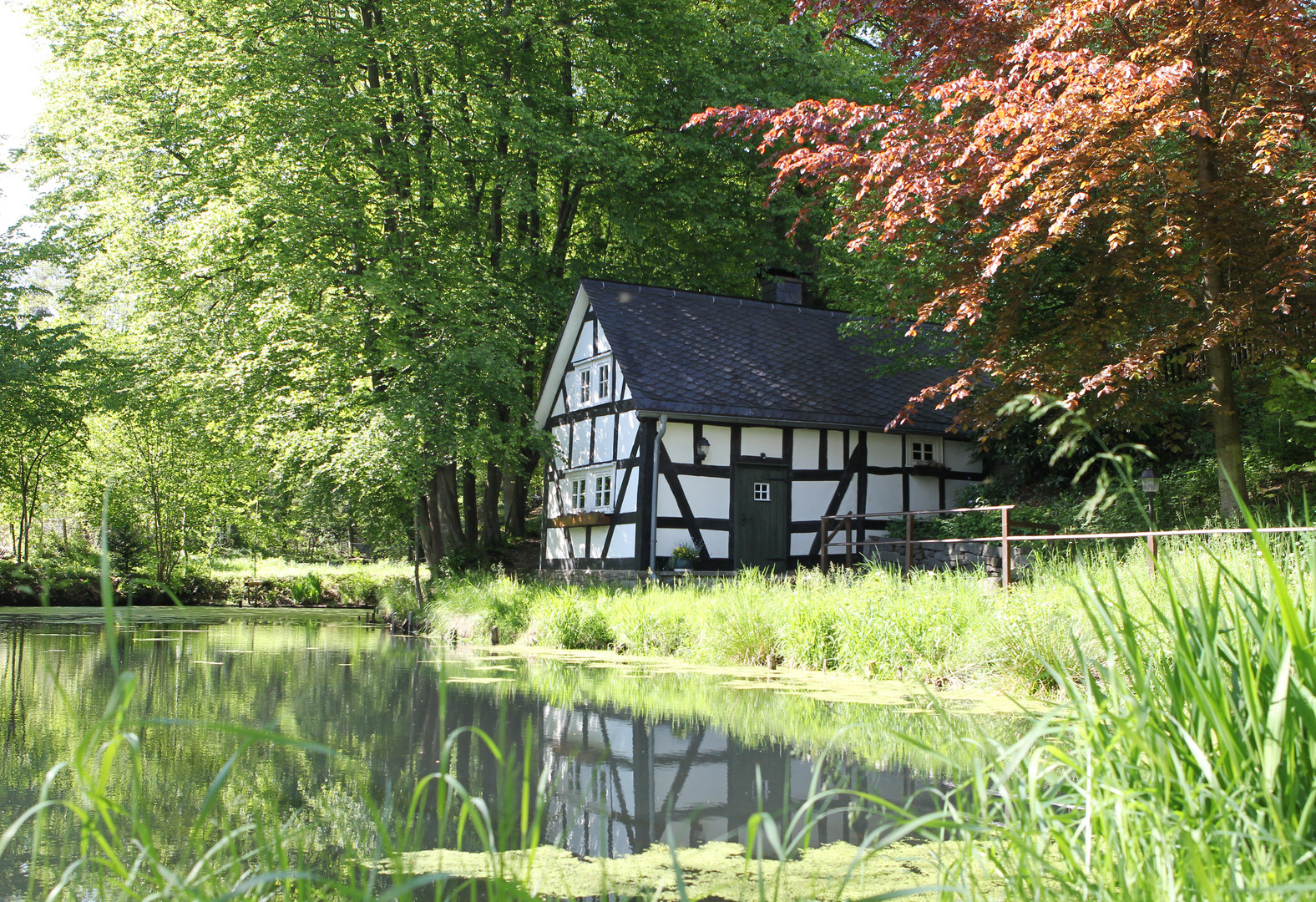 Backes am Pfarrteich in Oberholzklau