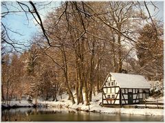 "Backes" von Oberholzklau im Winter