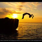 Backflip