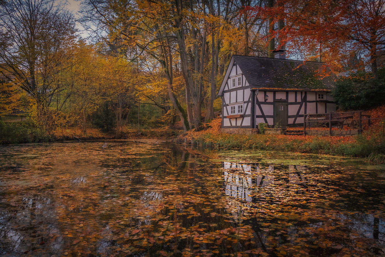 Backhaus in Oberholzklau