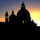 Backlight Venezia