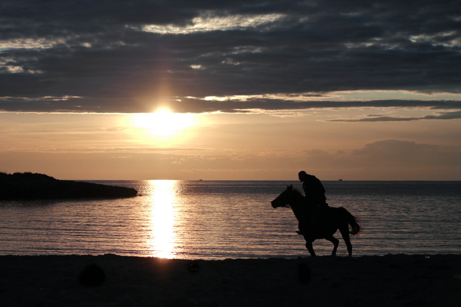 " backlit at sunset " di Simonav