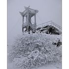 Backöfele auf dem Schneeberg