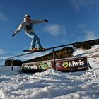 backside boardslide @ homespot opening oberwiesenthal