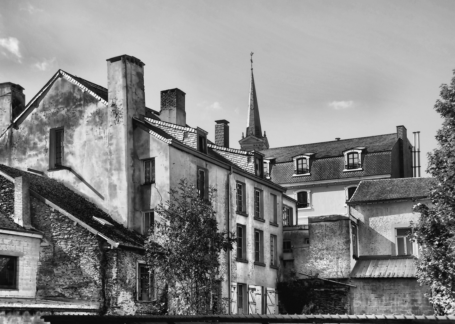 Backside of houses