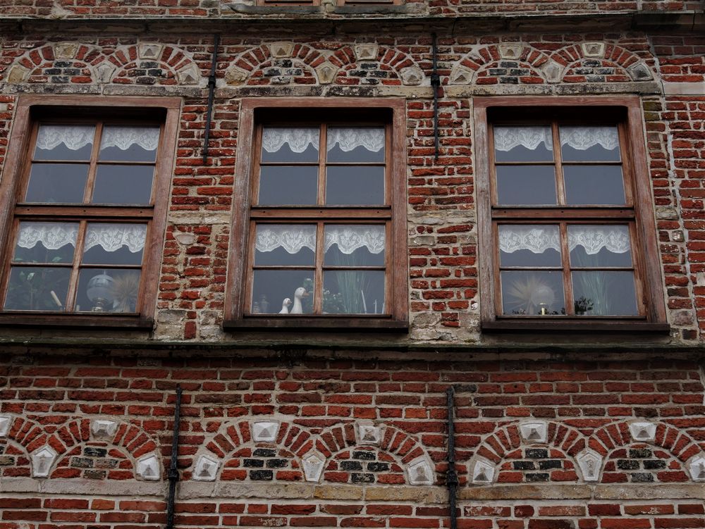 Backsteinhaus in Norden Foto & Bild | norden Bilder auf fotocommunity