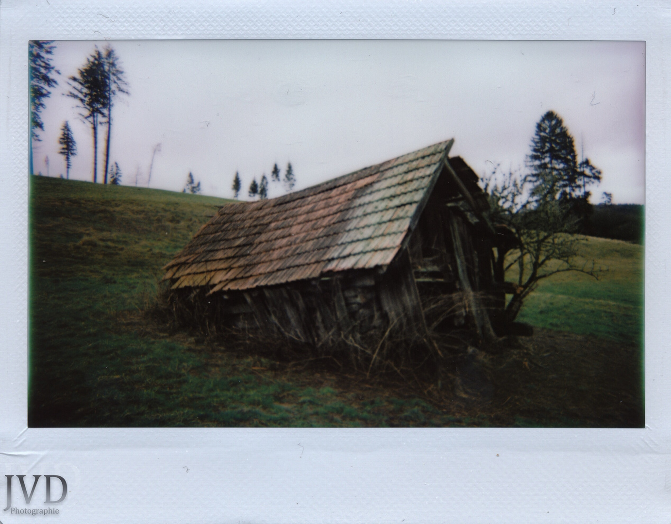 BacktoPolaroid#1