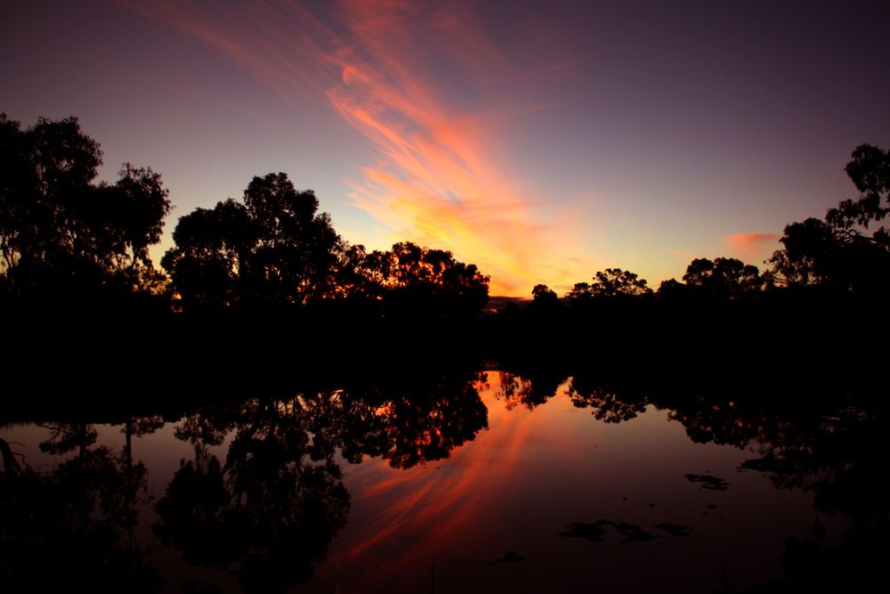 "Backwater" am Murray River