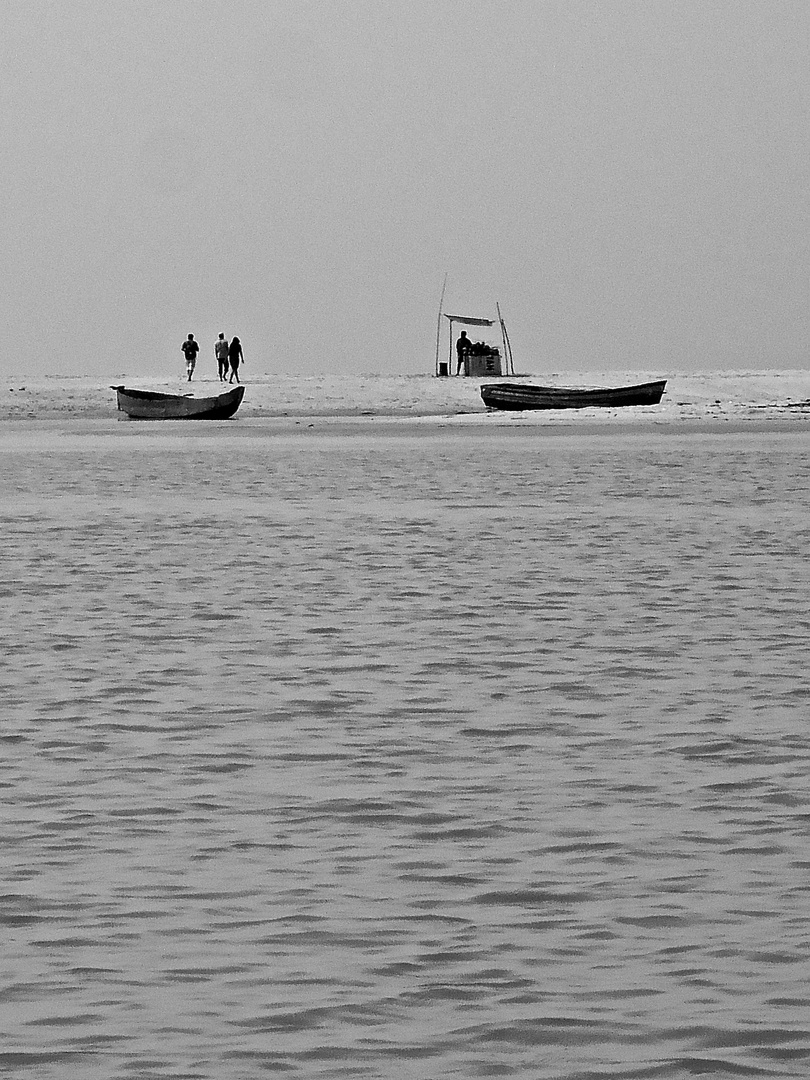 Backwater Kerala