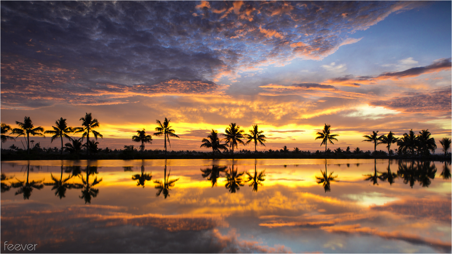 Backwater Sunrise